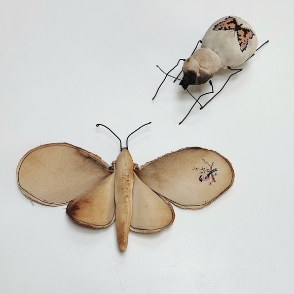 Rare! Mister Finch Textile Moth - Picture 7 of 12